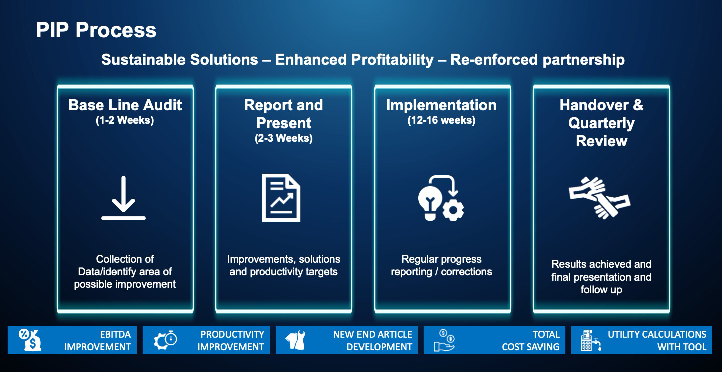 PIP Process Chart 